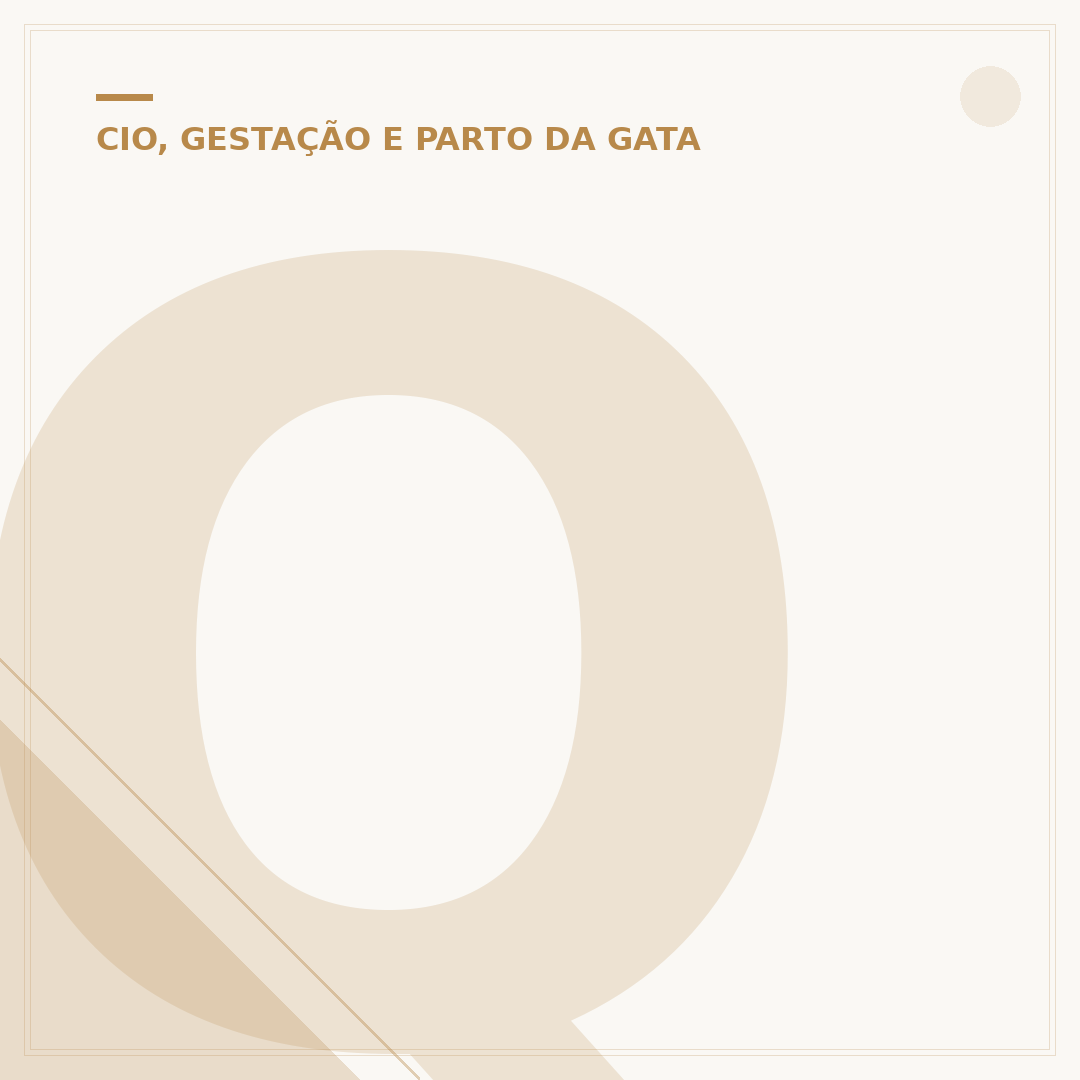 Quando a gata entra no cio: sinais e duração
