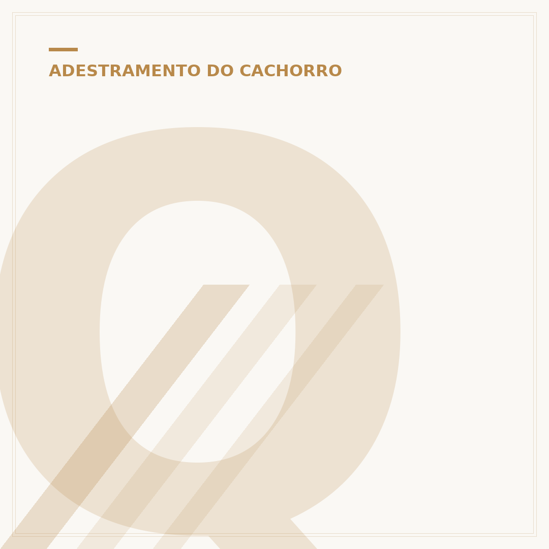 Quanto custa para adestrar um cachorro?