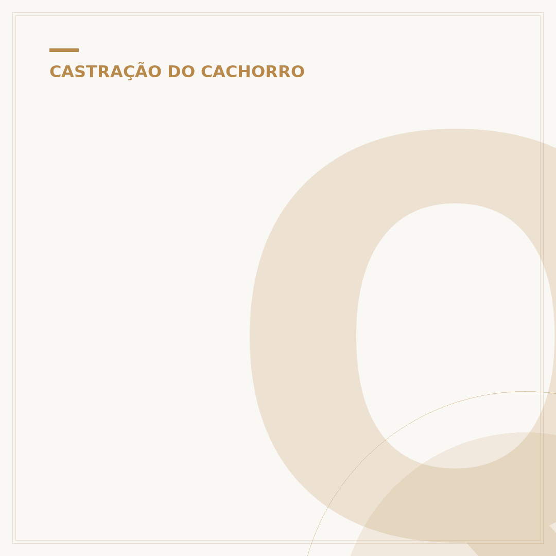 Quanto custa para castrar um cachorro?