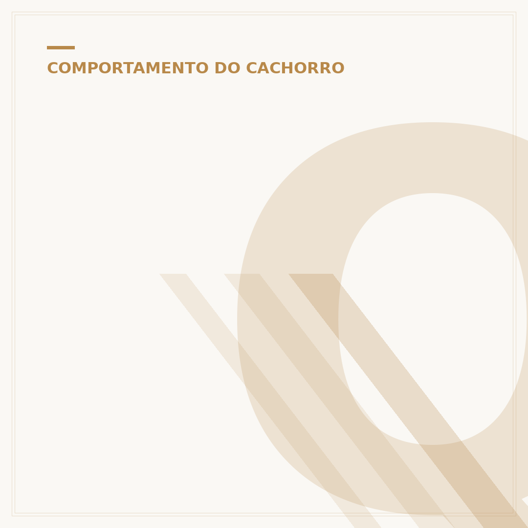 Quanto custa para enterrar um cachorro?