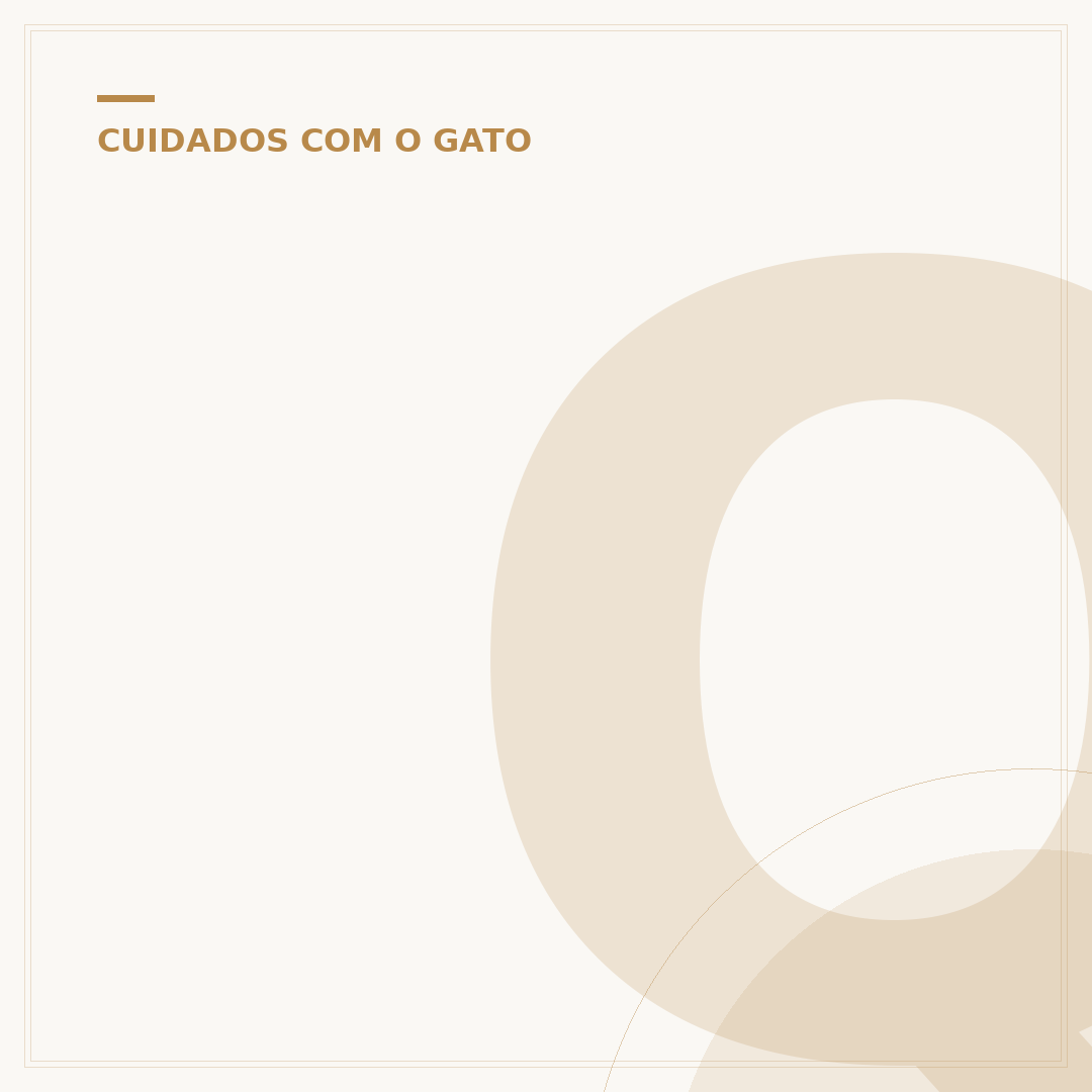 Quanto custa um gato filhote?