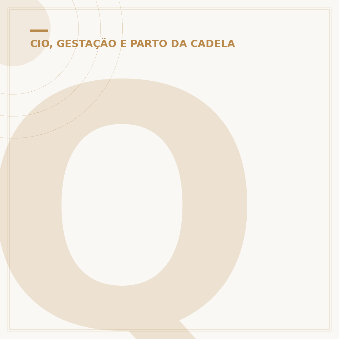 Quanto tempo o cachorro leva para parir?