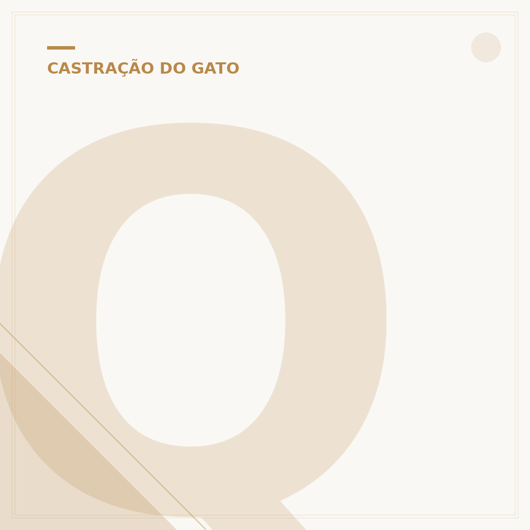 Quanto tempo dura a castração de gato fêmea?