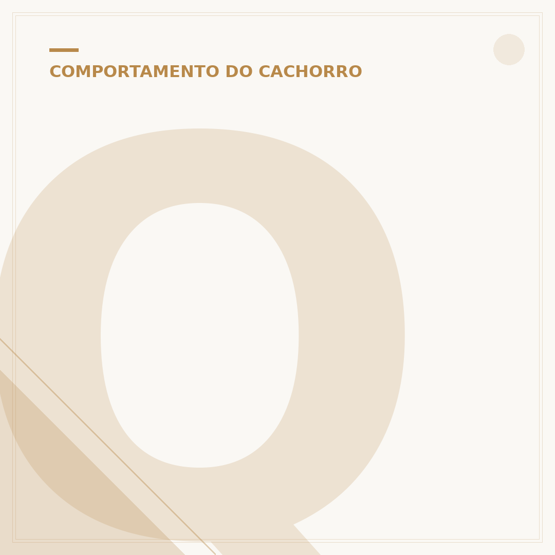 Quanto tempo um filhote de cachorro dorme por dia?