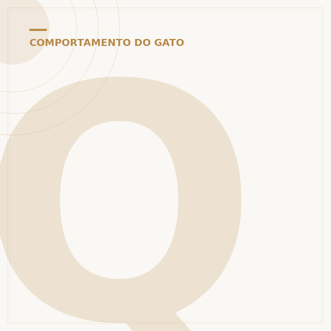 Quanto tempo um gato dorme por dia? Entenda os padrões