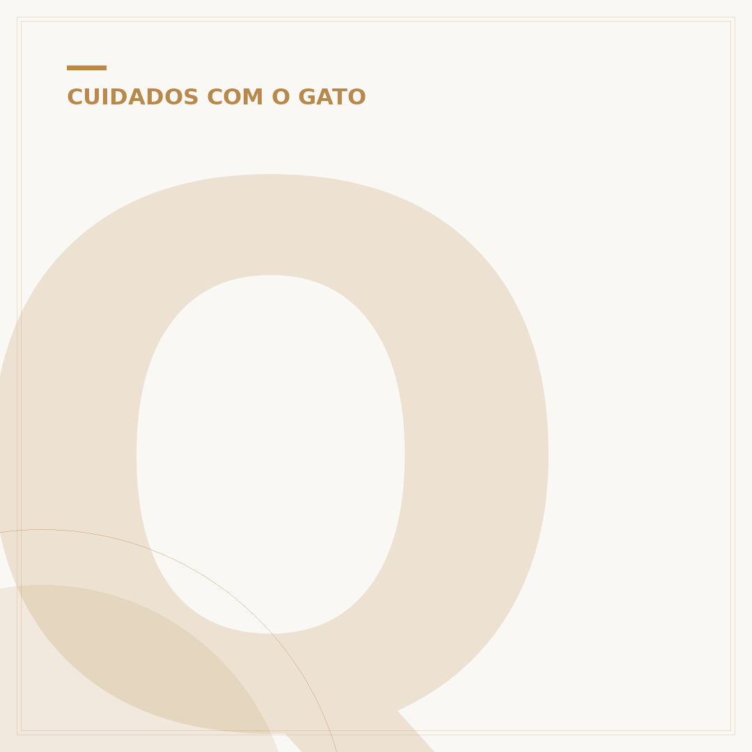 Quanto tempo os gatos vivem: Fatores e Longevidade