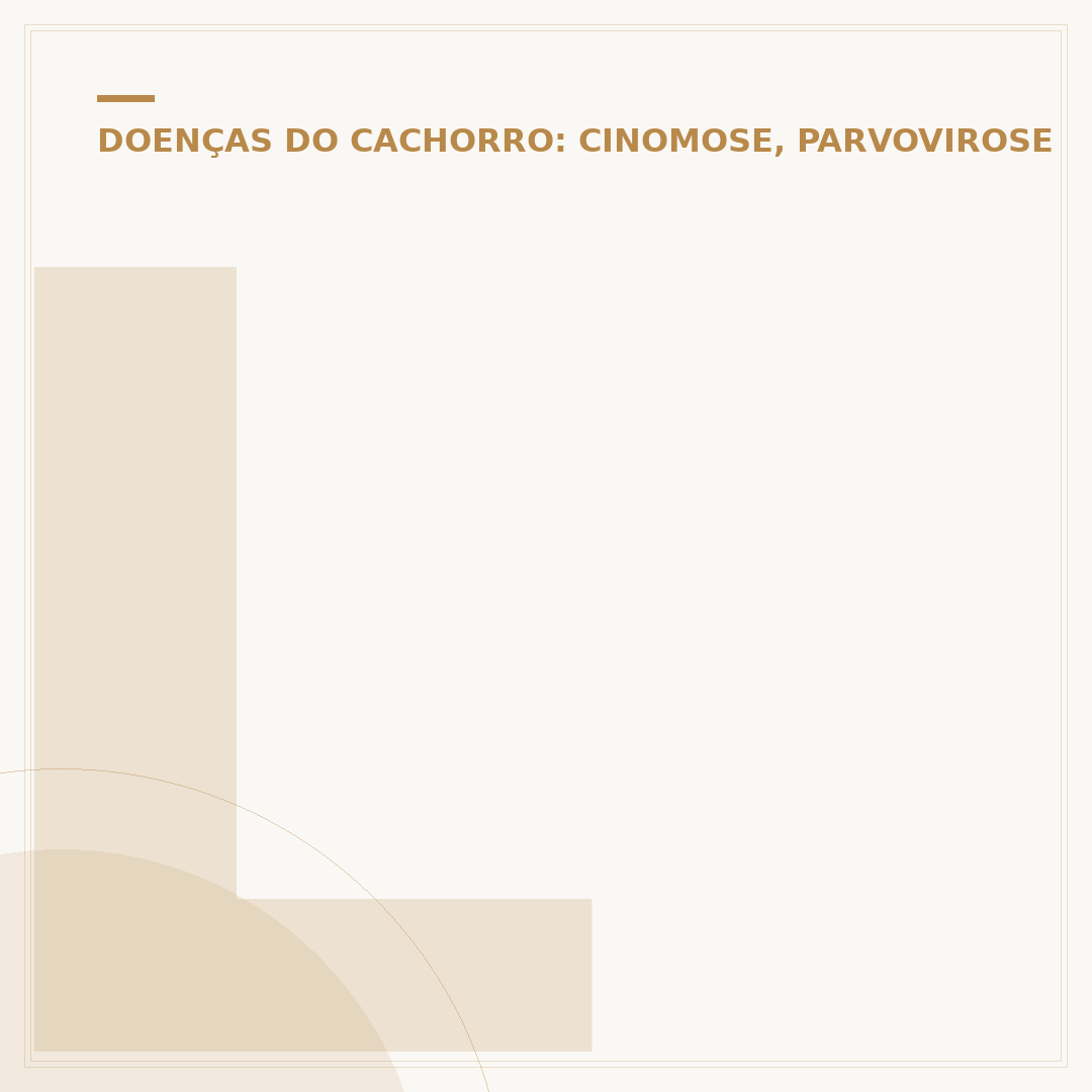 Leishmaniose em cães: quanto tempo vive um cachorro doente?