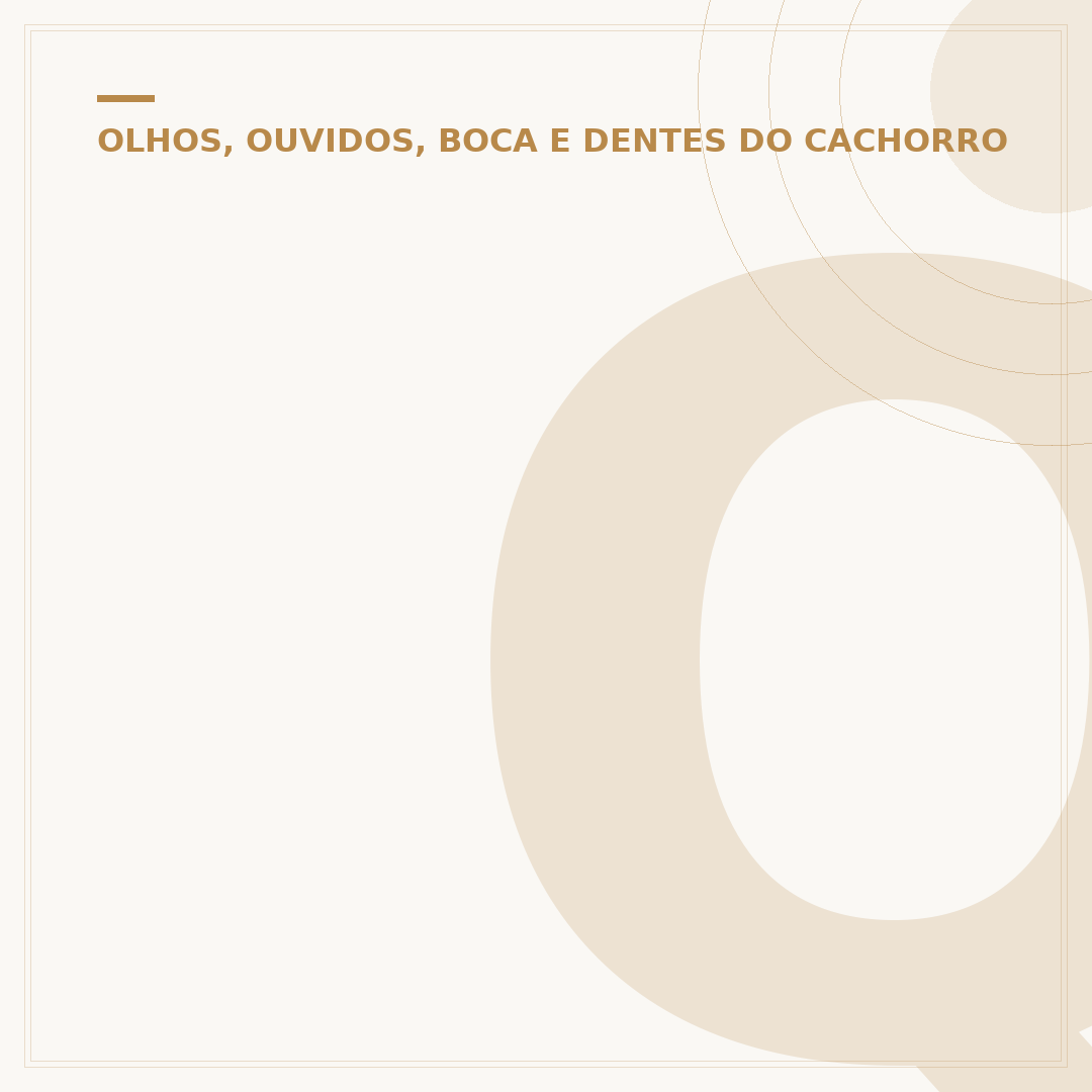 Quantos dentes tem um cachorro?