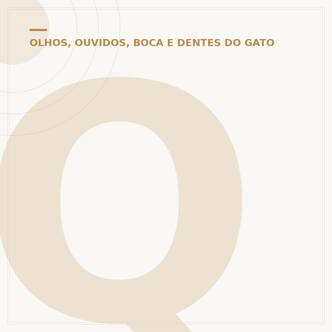 Quantos dentes tem um gato?