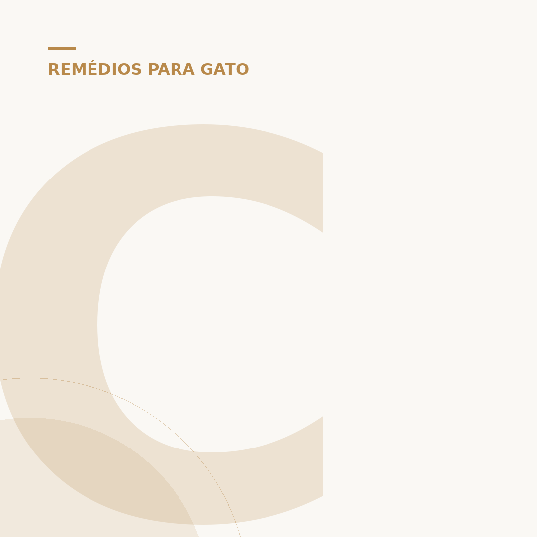 Com quantos meses pode dar remédio de verme para gato?