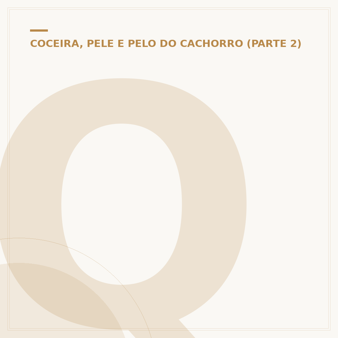 Queda de pelo localizada em cachorro: causas e como tratar