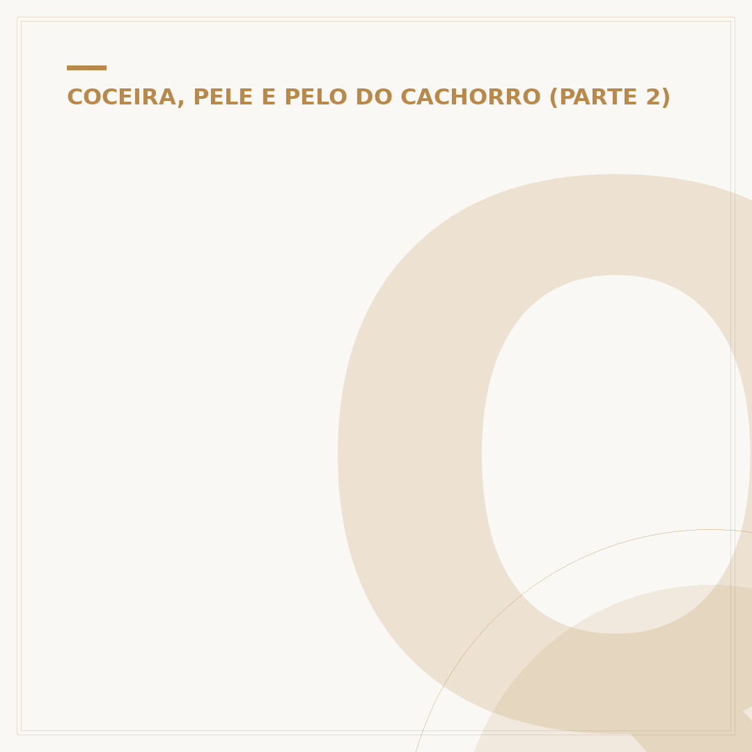 Queimadura em cachorro