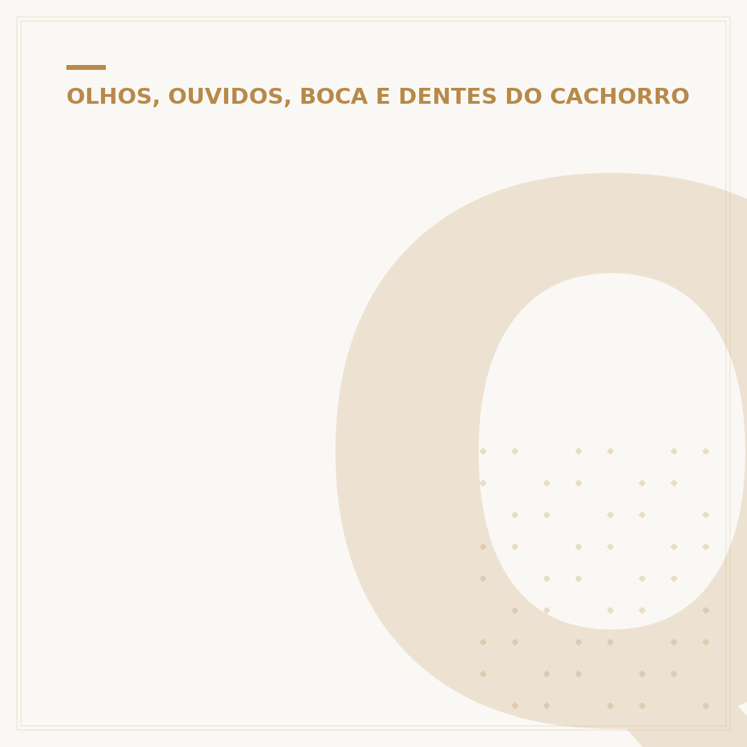 Quem era o cachorro Orelha?