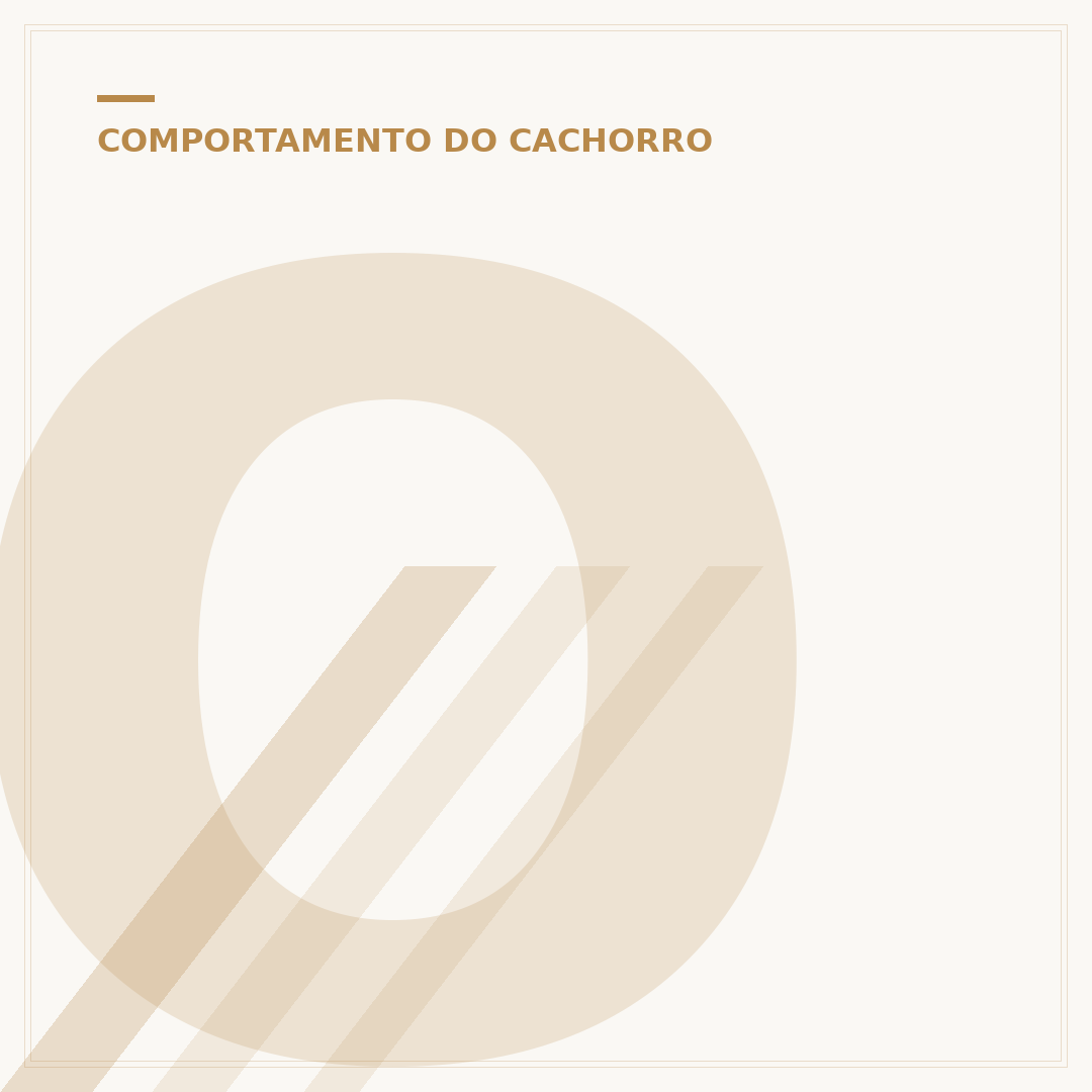 O rabo de cachorro tem osso? Entenda a anatomia canina