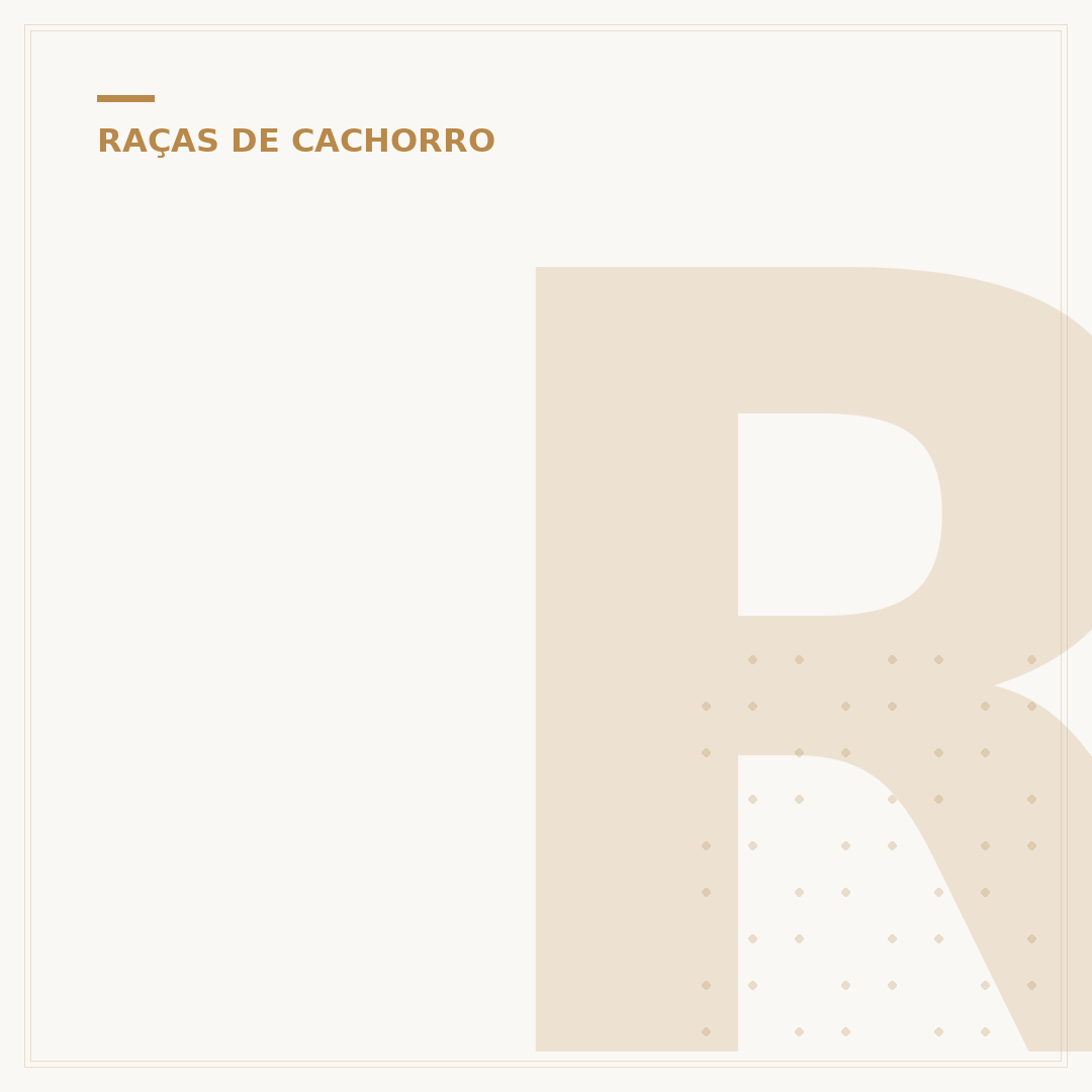 Raça de cachorro Bigo: o que pode ser e raças semelhantes