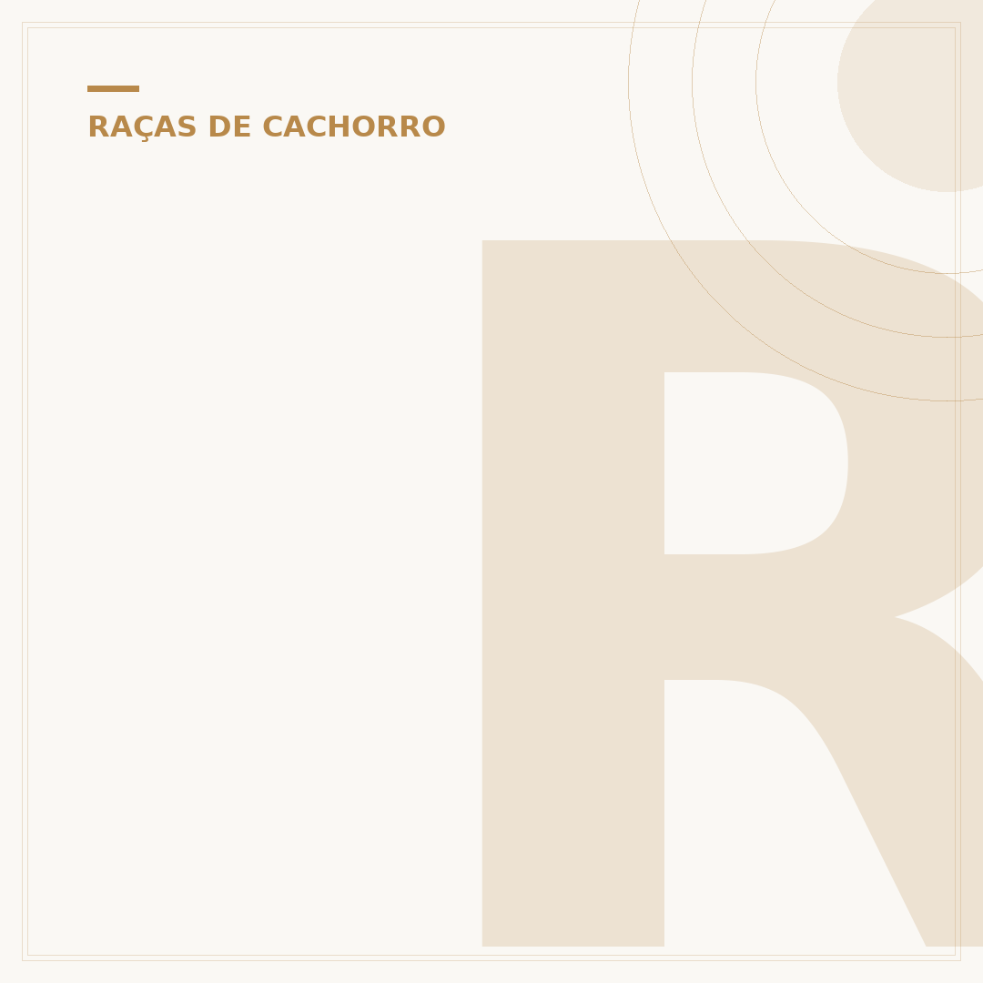 Raças de cachorro com T