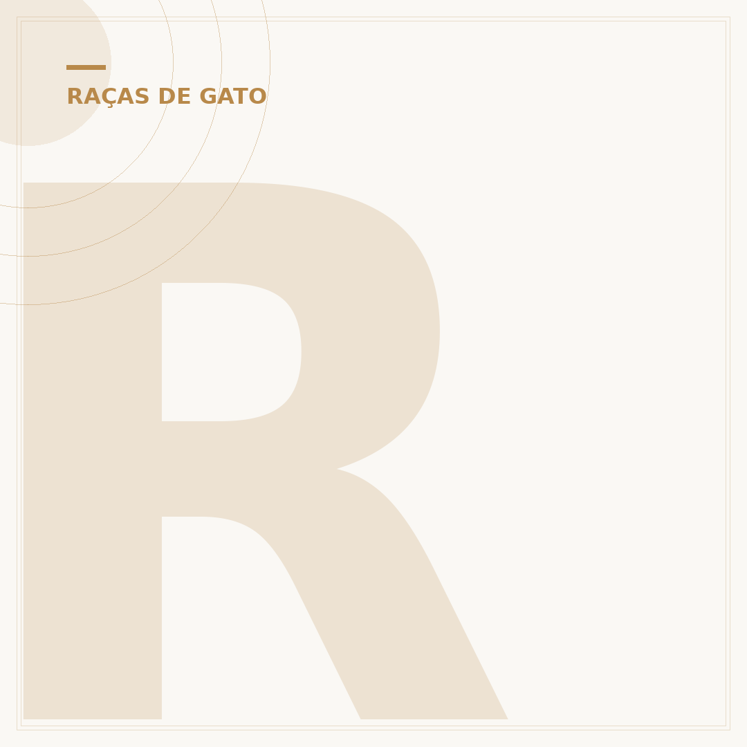 Raças de gato grande: conheça os felinos majestosos