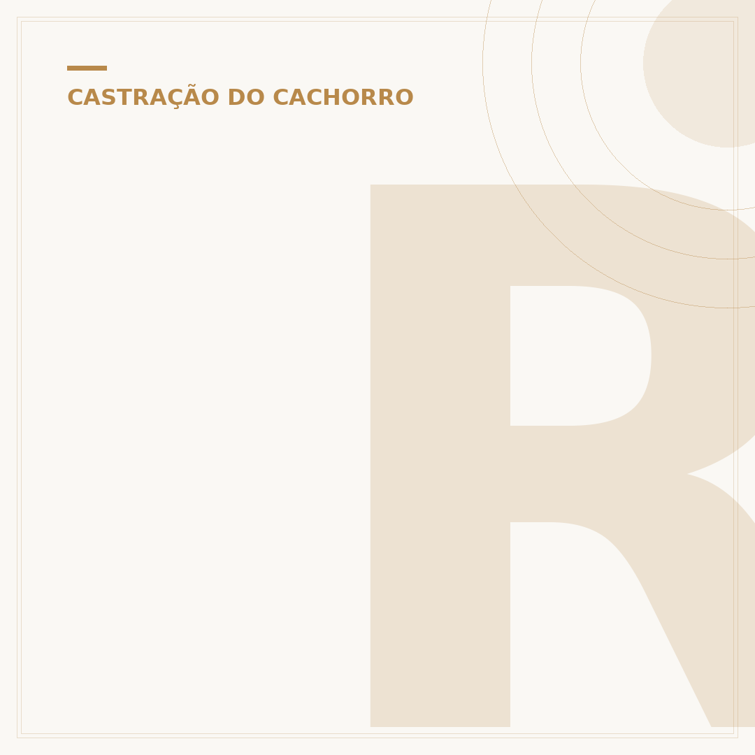 Ração para cachorro castrado