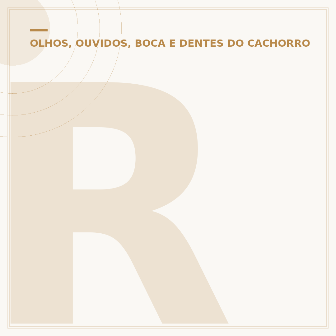 Ração para cachorro sem dente