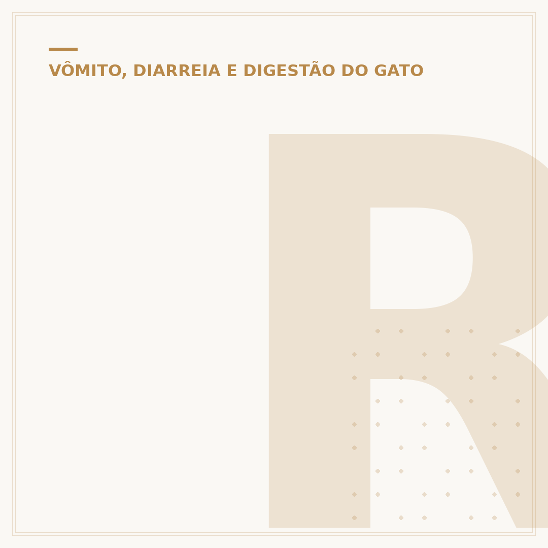 ração para gato com diarreia: como escolher e o que observar
