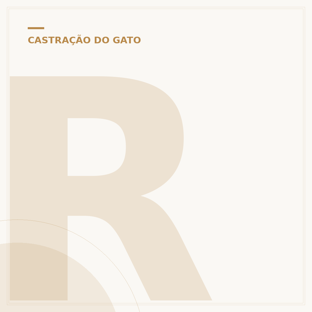 Ração Golden Salmão para gatos castrados