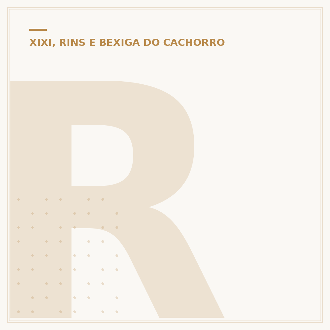 Ração renal para cachorro