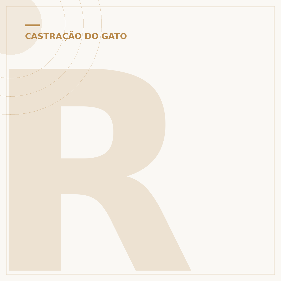 Ração Wiskas gato castrado: nutrição para saúde