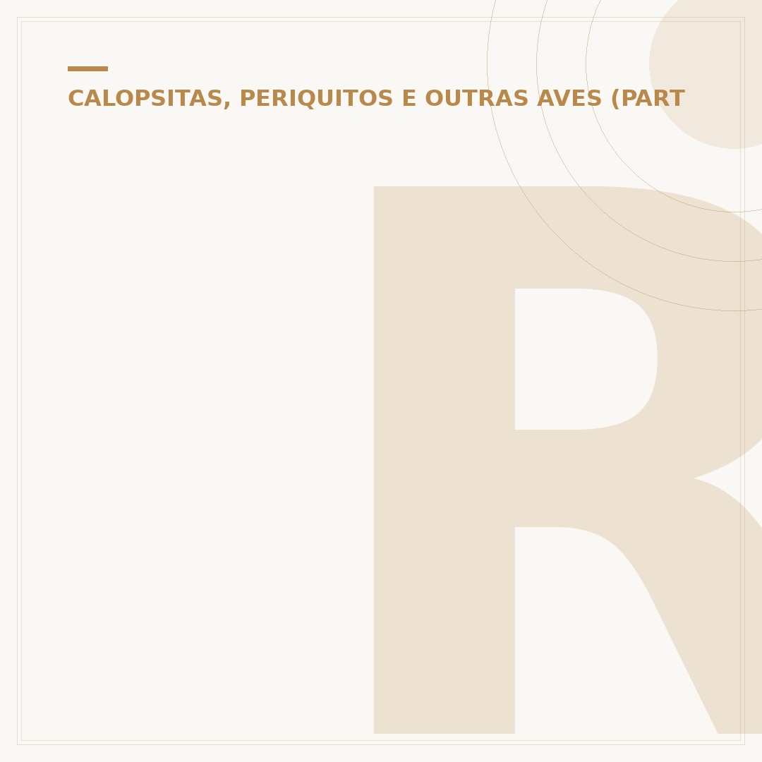 Raças de calopsita: conheça as variações mais populares