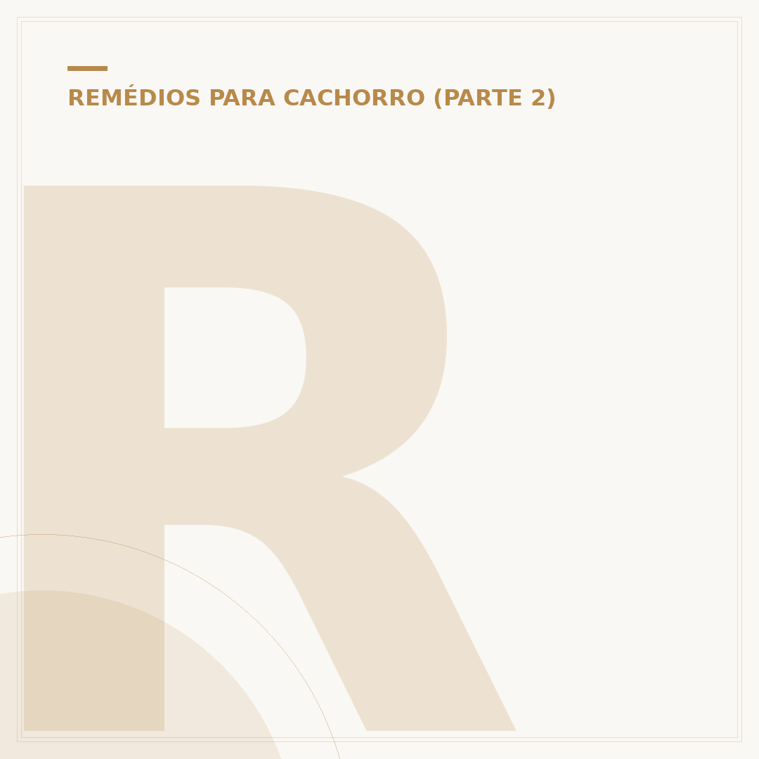 Remédio para carrapato em humano: o que fazer