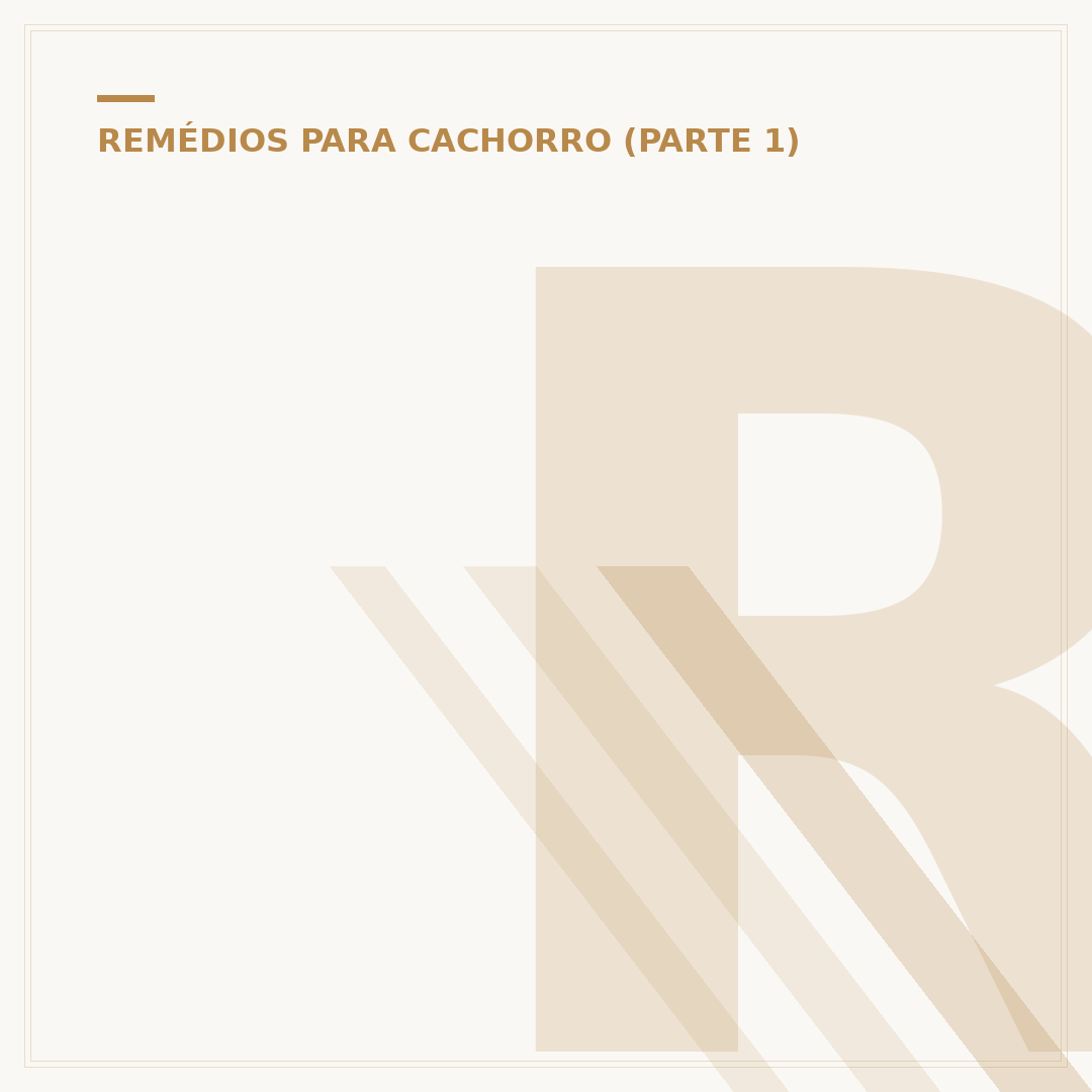 Remédio caseiro para anemia em cachorro: o que fazer