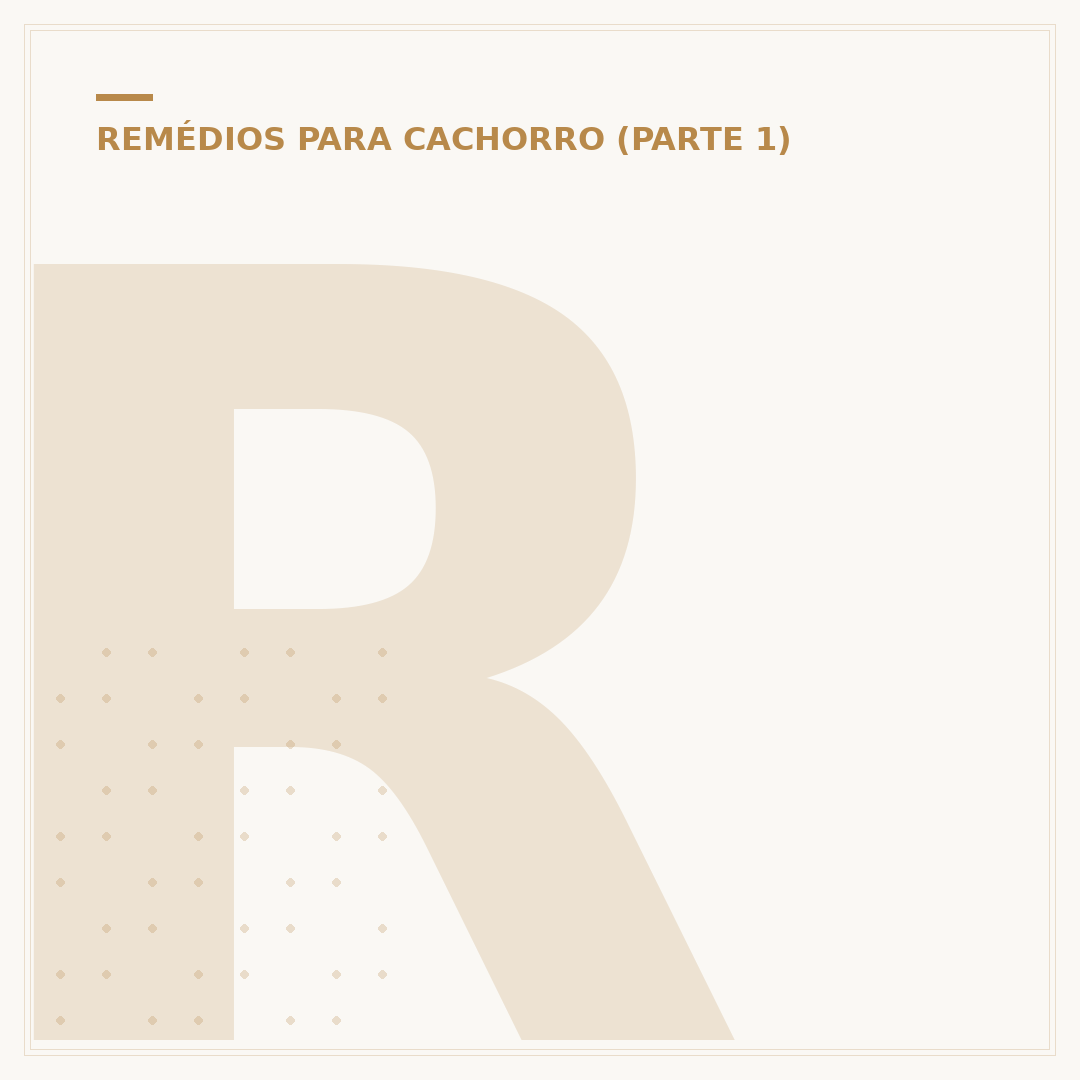 Remédio para convulsão em cachorro: o que fazer