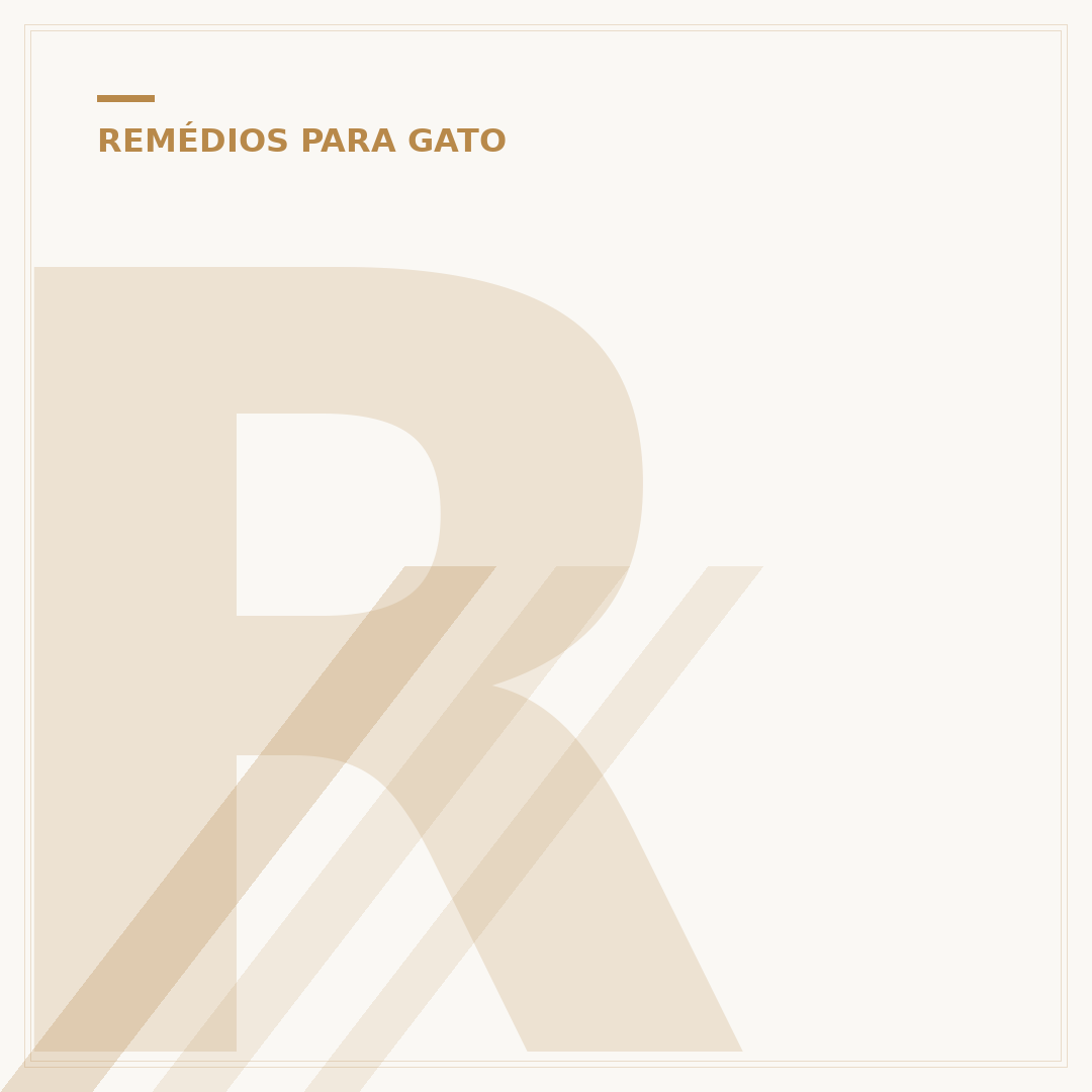 Remédio de enjoo para gatos: causas e soluções