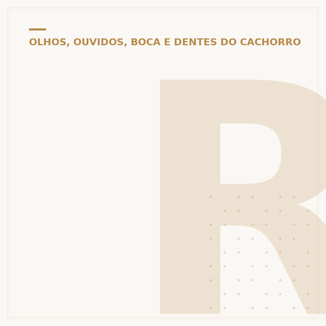 Remela amarela no olho do cachorro: causas e cuidados