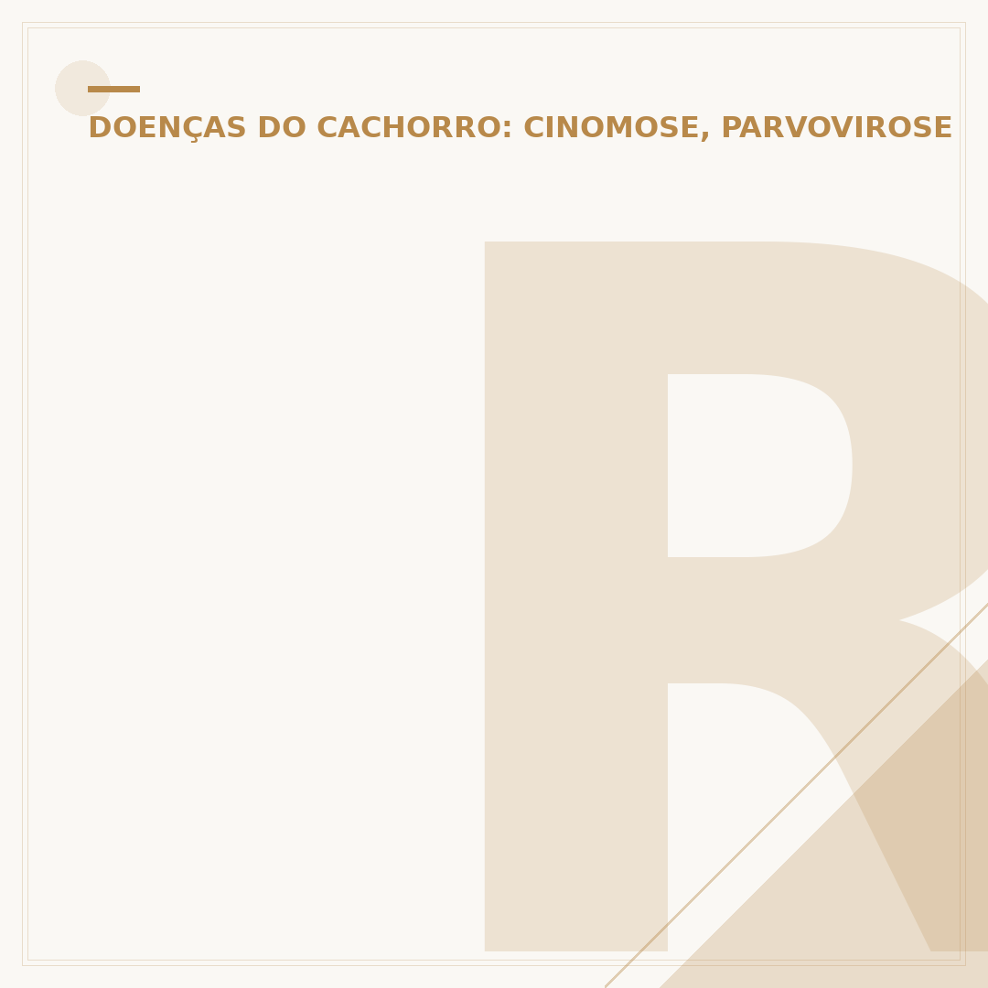 Remela de cachorro com cinomose: o que significa e como agir