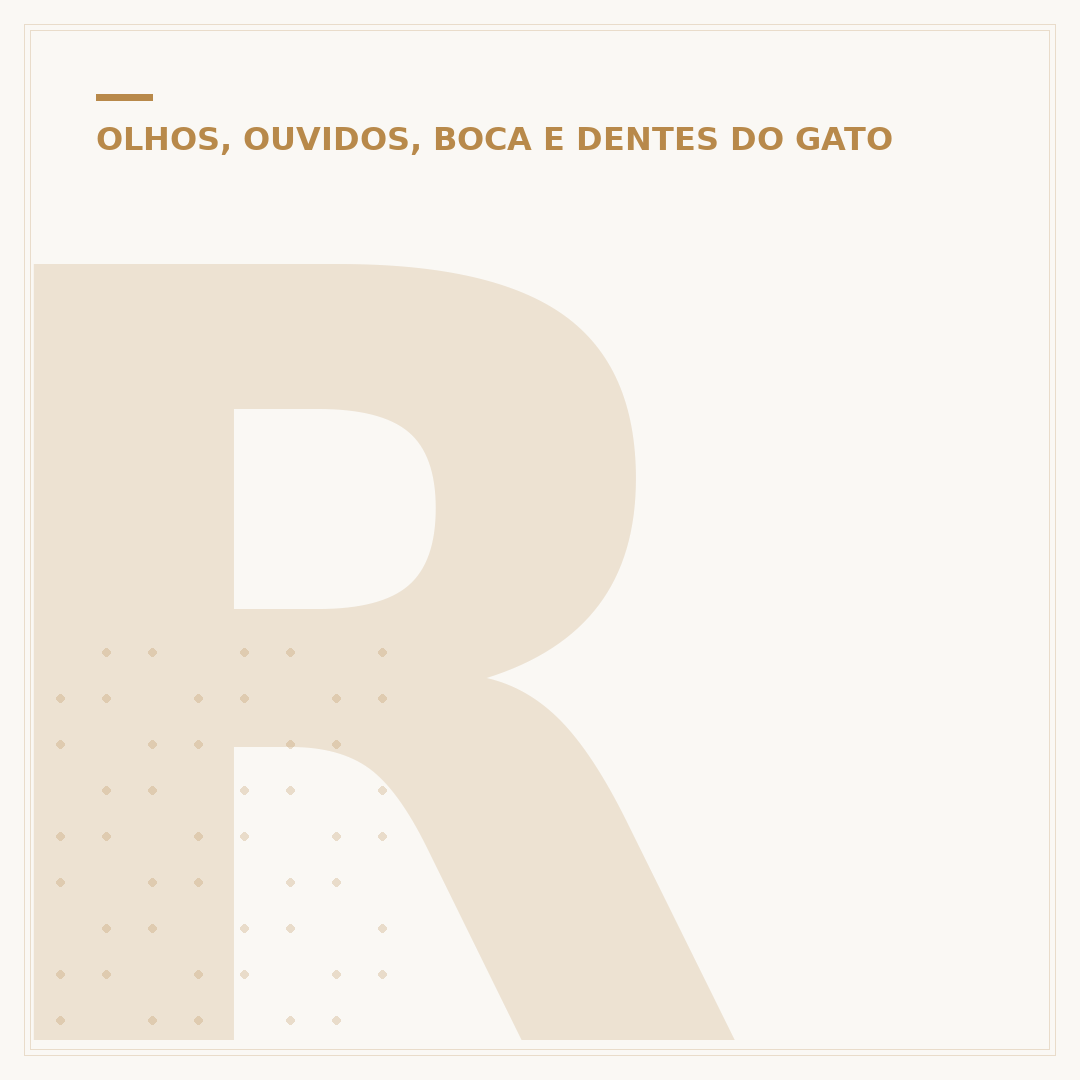 Remela vermelha no olho do gato