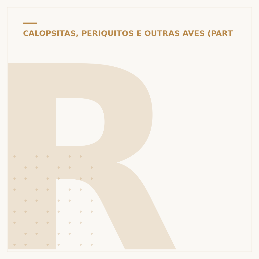Restaurante Papagaio BR 290: o que saber