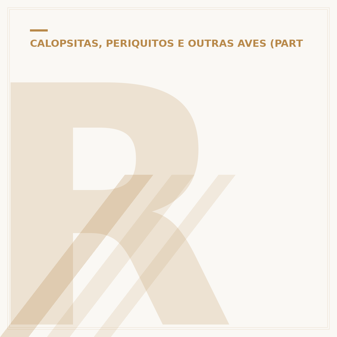 Restaurante Papagaio: o que esperar da sua experiência