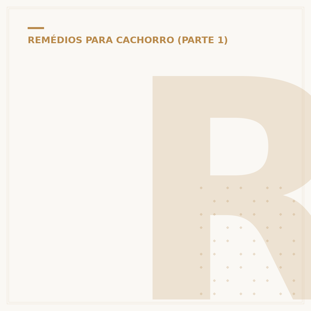 Rifocina para cachorro: para que serve e como usar
