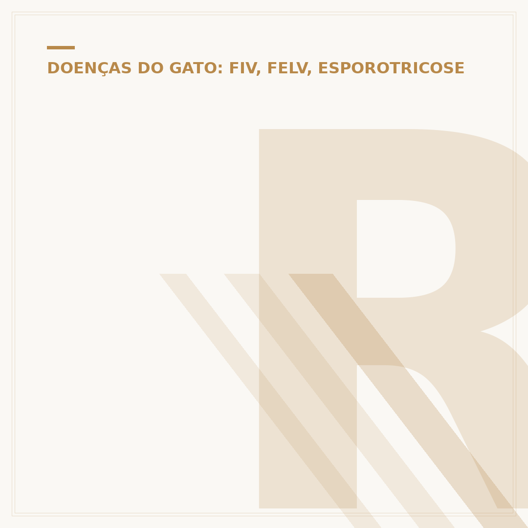 Rinotraqueíte felina: entenda se tem cura e como tratar