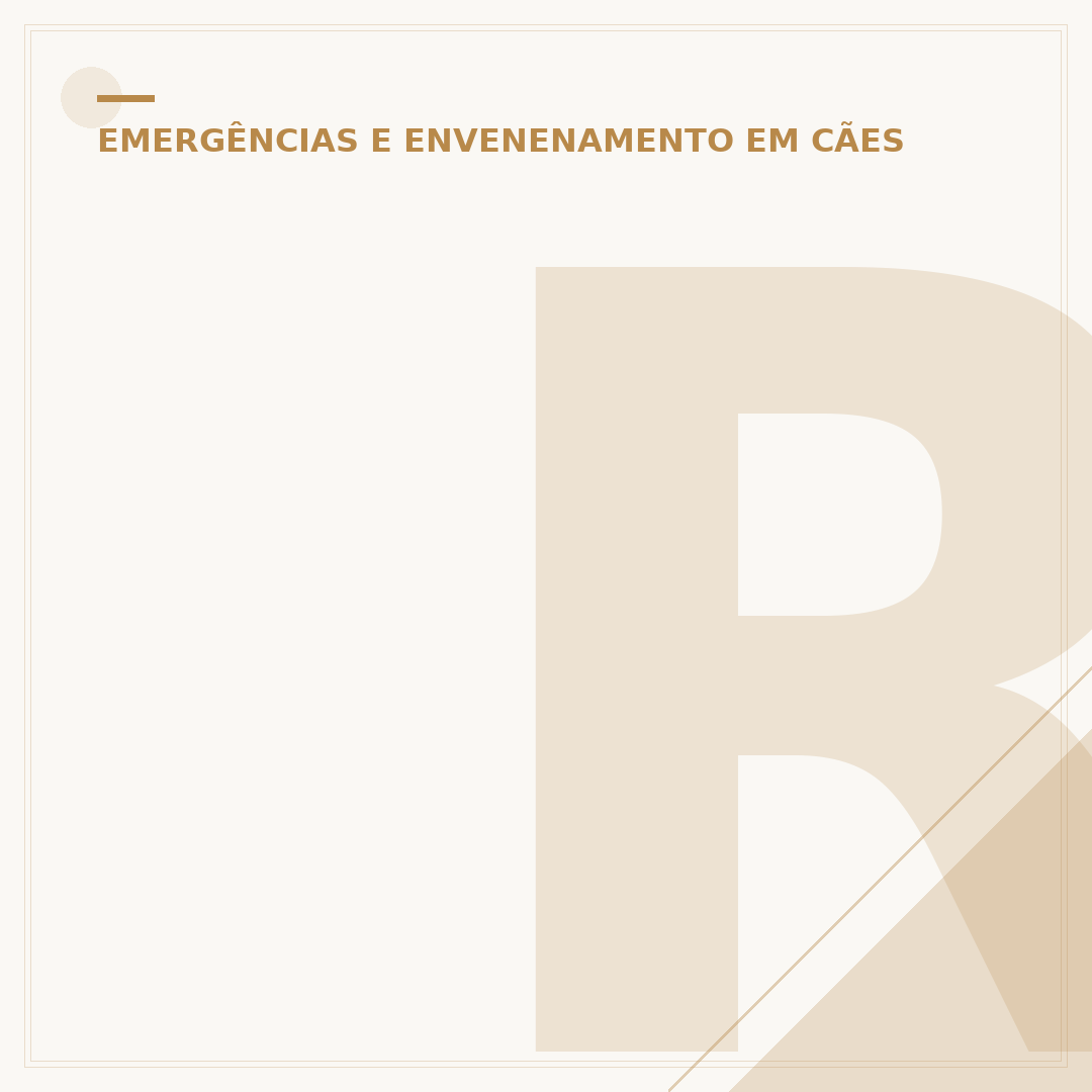 Rock do Cachorro Morto: O que é e como entender
