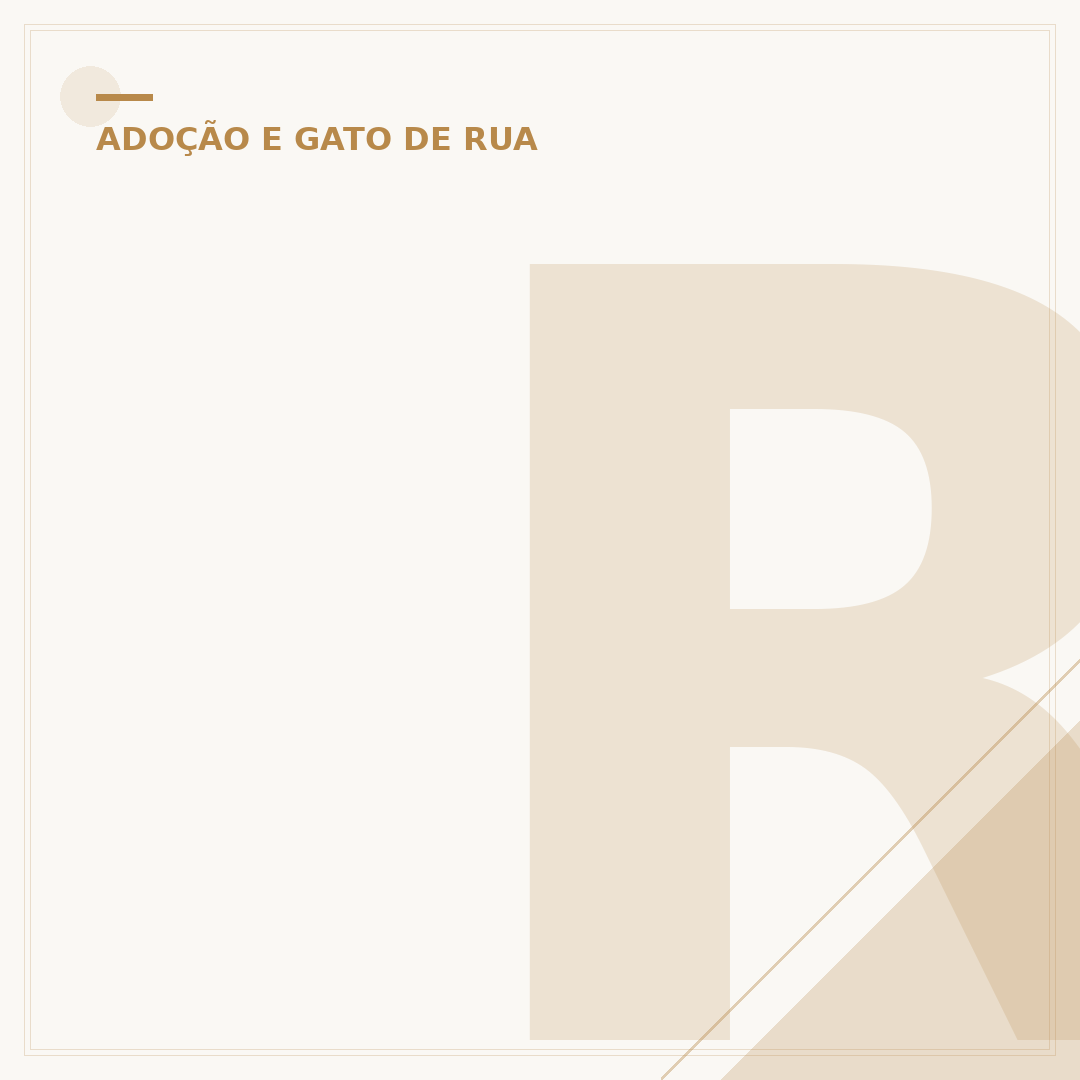 Rua alma de gato