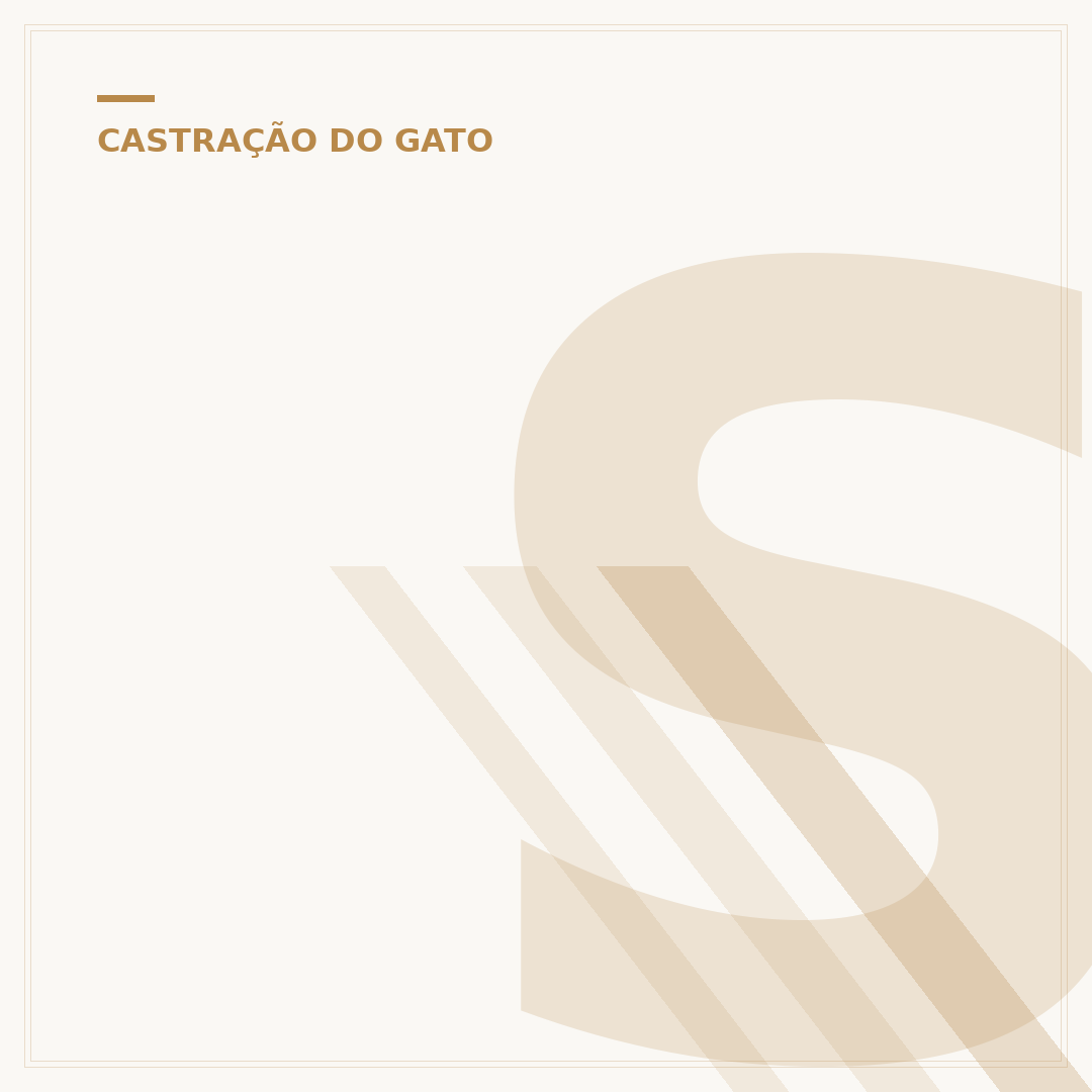 Sachê para gatos castrados