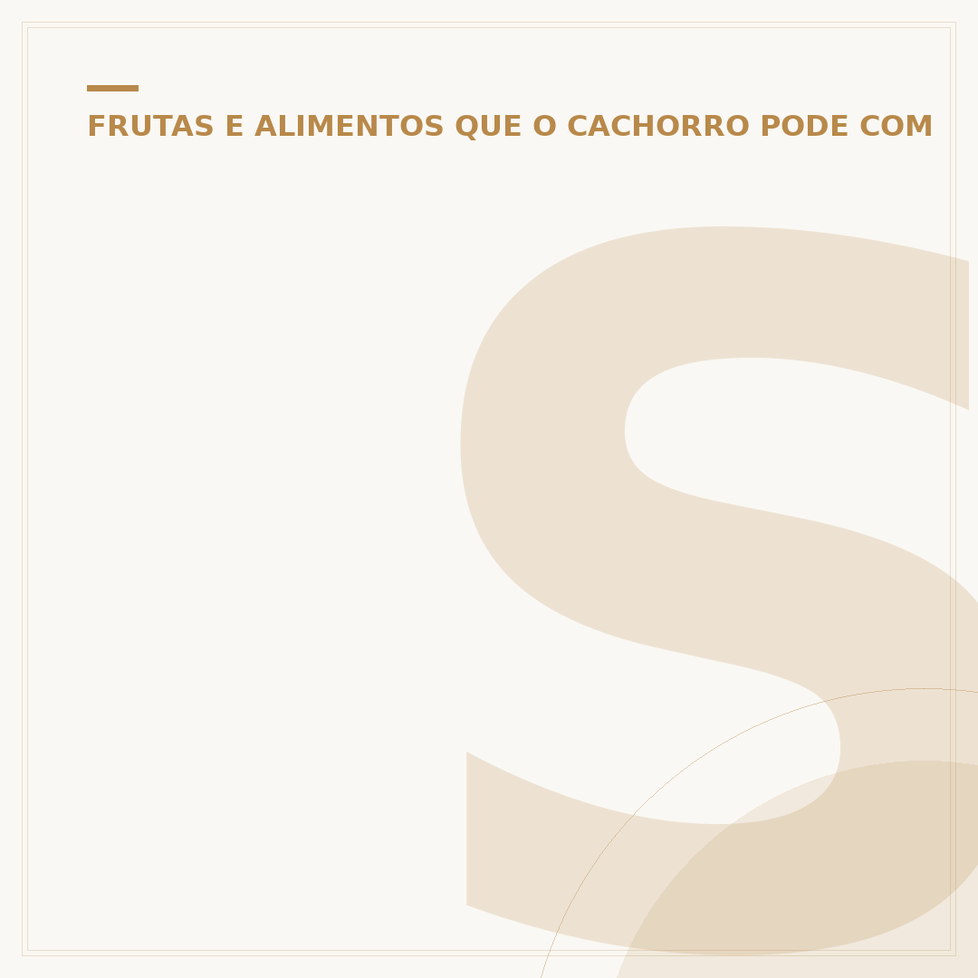Salsicha mofada cachorro: riscos e o que fazer