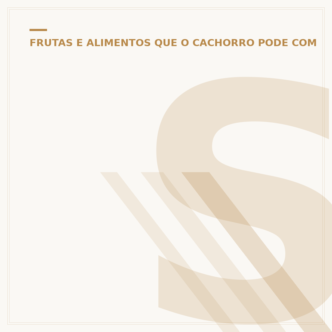 Salsicha mofadinho para cachorro: é seguro?