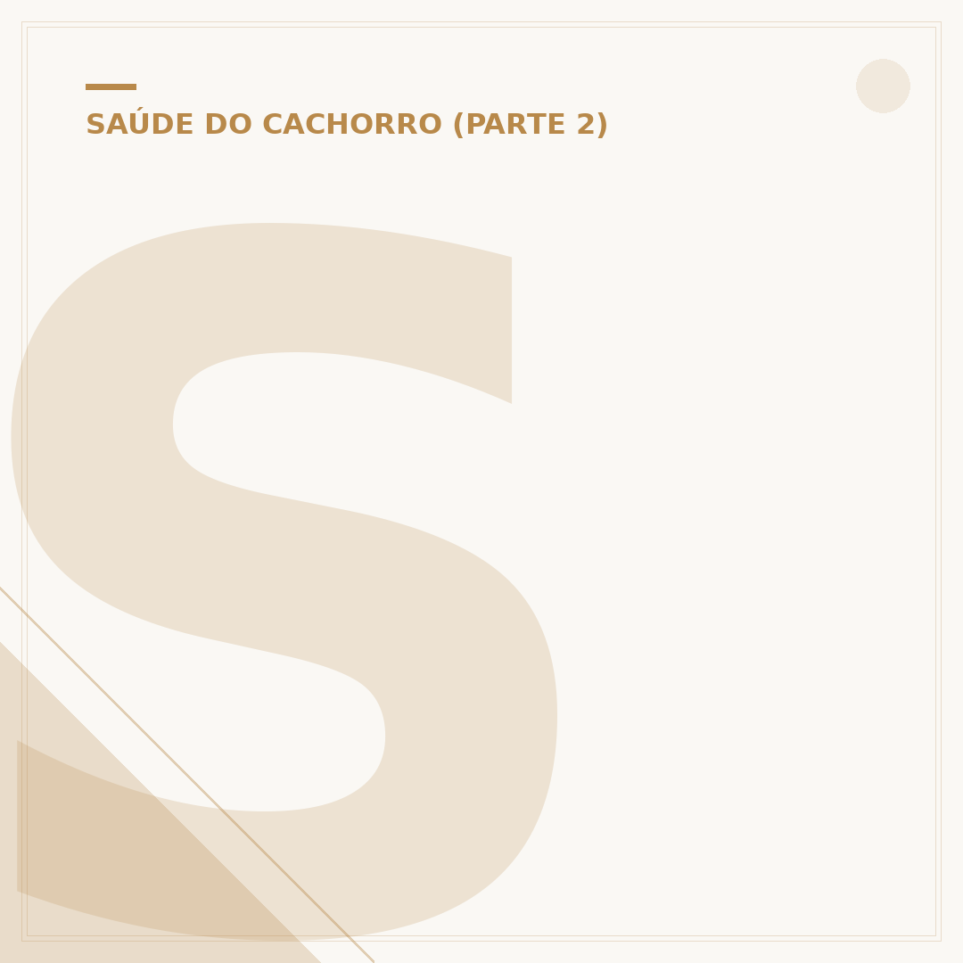 Sangramento nasal em cachorro: causas e o que fazer