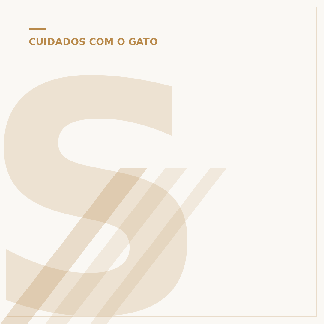 Saquinho de inverno para gatos: conforto e segurança
