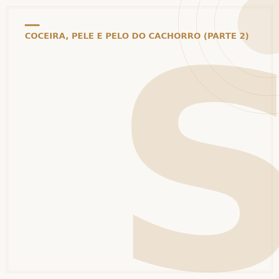 Sarna de cachorro pega em humano? Tratamento