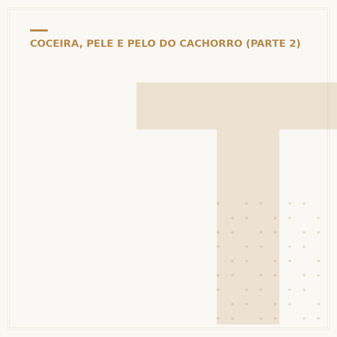 Tratamento da sarna sarcóptica em cães