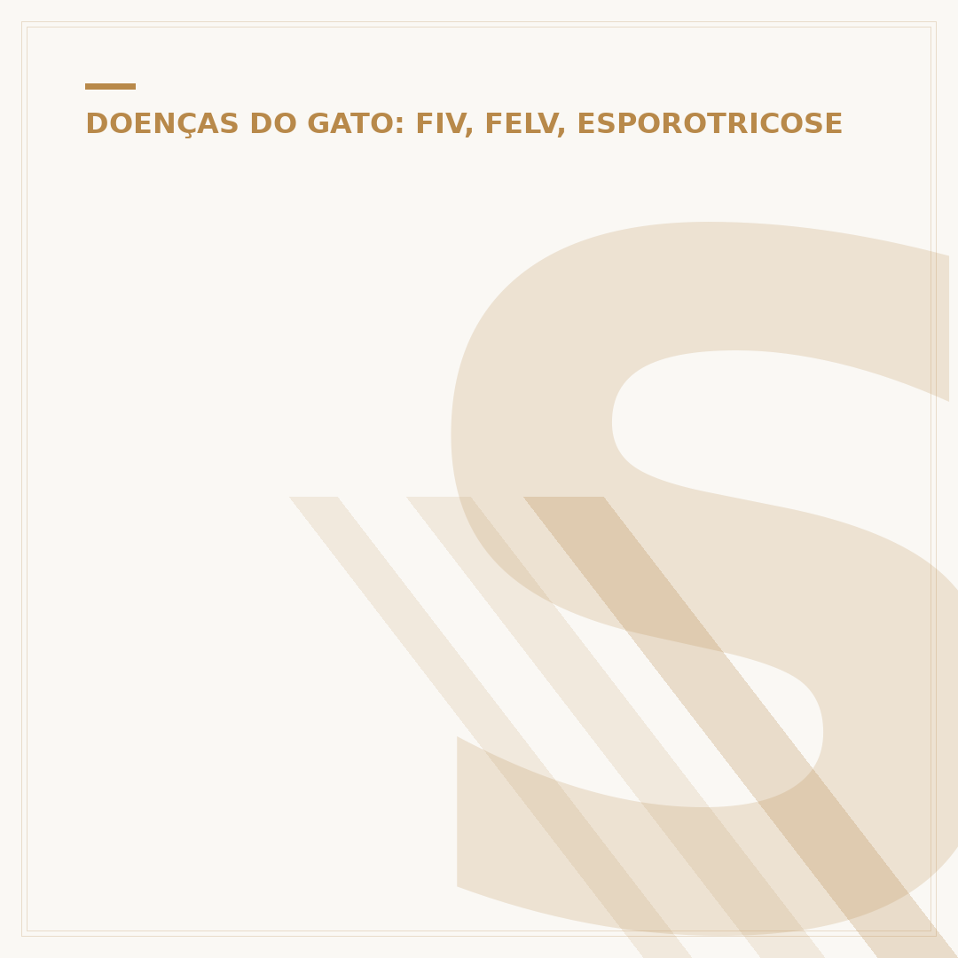 Senspert FIV/FeLV: O que você precisa saber sobre os testes