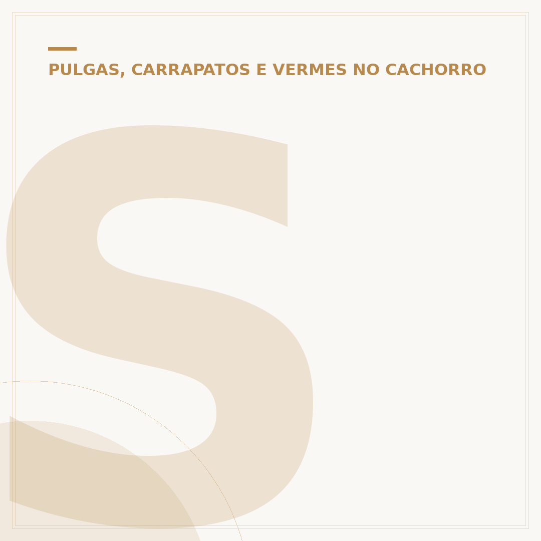 Sequelas da doença do carrapato em cães: o que esperar